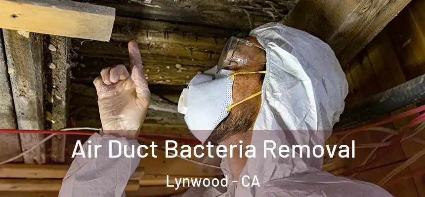 Air Duct Bacteria Removal Lynwood - CA
