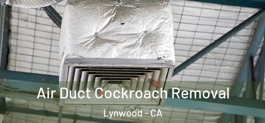 Air Duct Cockroach Removal Lynwood - CA