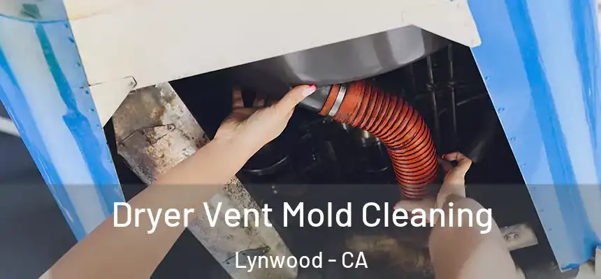 Dryer Vent Mold Cleaning Lynwood - CA