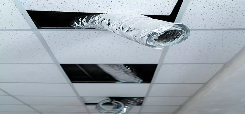 Our Air Duct Pet Hair Removal Services in Lynwood, CA