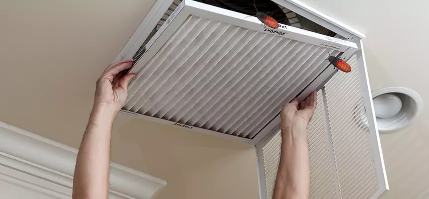 Our Insect Removal from Air Ducts Services in Lynwood, CA