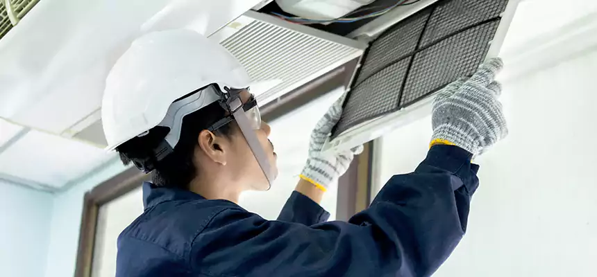 Our Mold & Mildew Removal from Air Ducts Services in Lynwood, CA