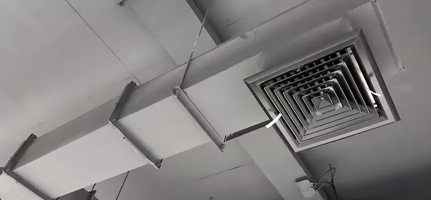 Our Rodent Droppings In Vents Services in Lynwood, CA