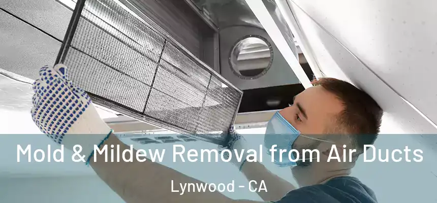  Mold & Mildew Removal from Air Ducts Lynwood - CA