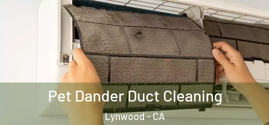 Pet Dander Duct Cleaning Lynwood - CA
