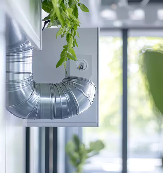 Professional Eco-Friendly Duct Cleaning Services in Lynwood, CA