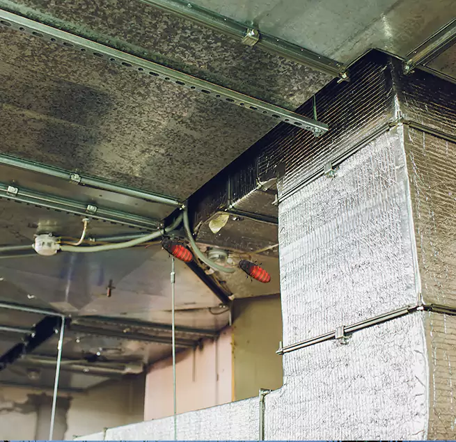 Why Homeowners & Businesses Trust Us in Lynwood, CA?