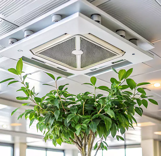 Why Homeowners & Businesses Trust Us in Lynwood, CA?